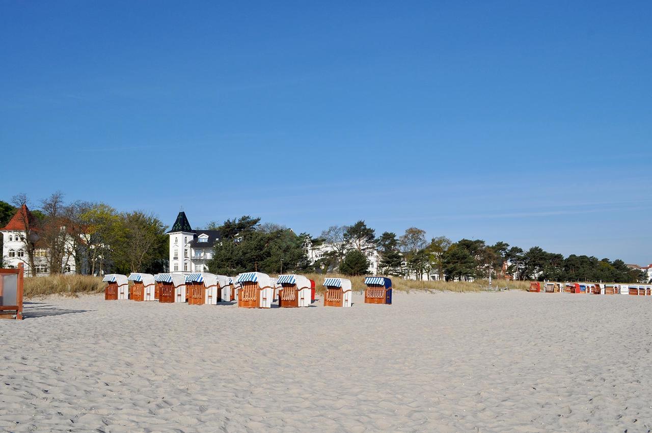 Ferienwohnung Stranddistel 1.4 - Direkt Am Binz